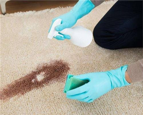 扬州地毯清洗