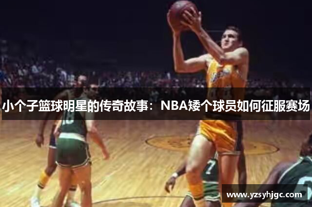 小个子篮球明星的传奇故事：NBA矮个球员如何征服赛场