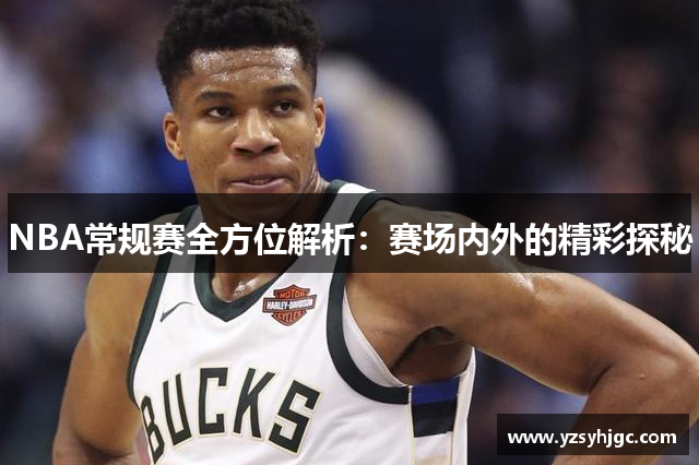 NBA常规赛全方位解析：赛场内外的精彩探秘