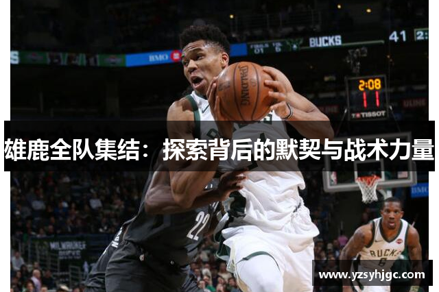 雄鹿全队集结：探索背后的默契与战术力量