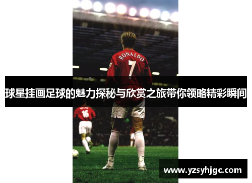 球星挂画足球的魅力探秘与欣赏之旅带你领略精彩瞬间