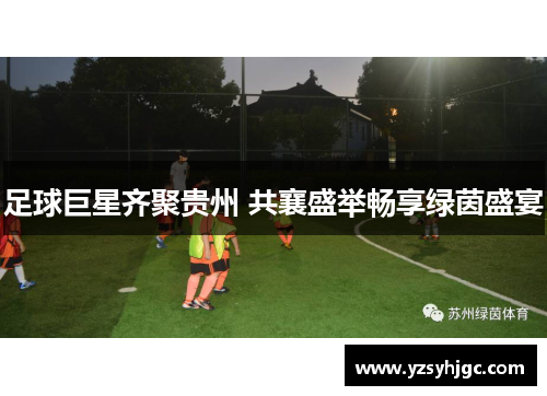 足球巨星齐聚贵州 共襄盛举畅享绿茵盛宴